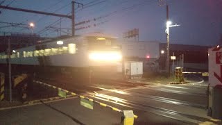 185系快速ムーンライトながら通過　JR東海道本線　堂の前踏切