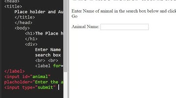 Place holder attributes and autofocus in html5