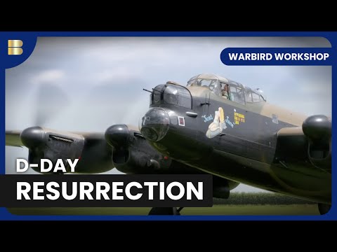 C47 Warbird Rescued From Graveyard For D-Day Flight | Warbird Workshop | History Documentary documentary thumbnail
