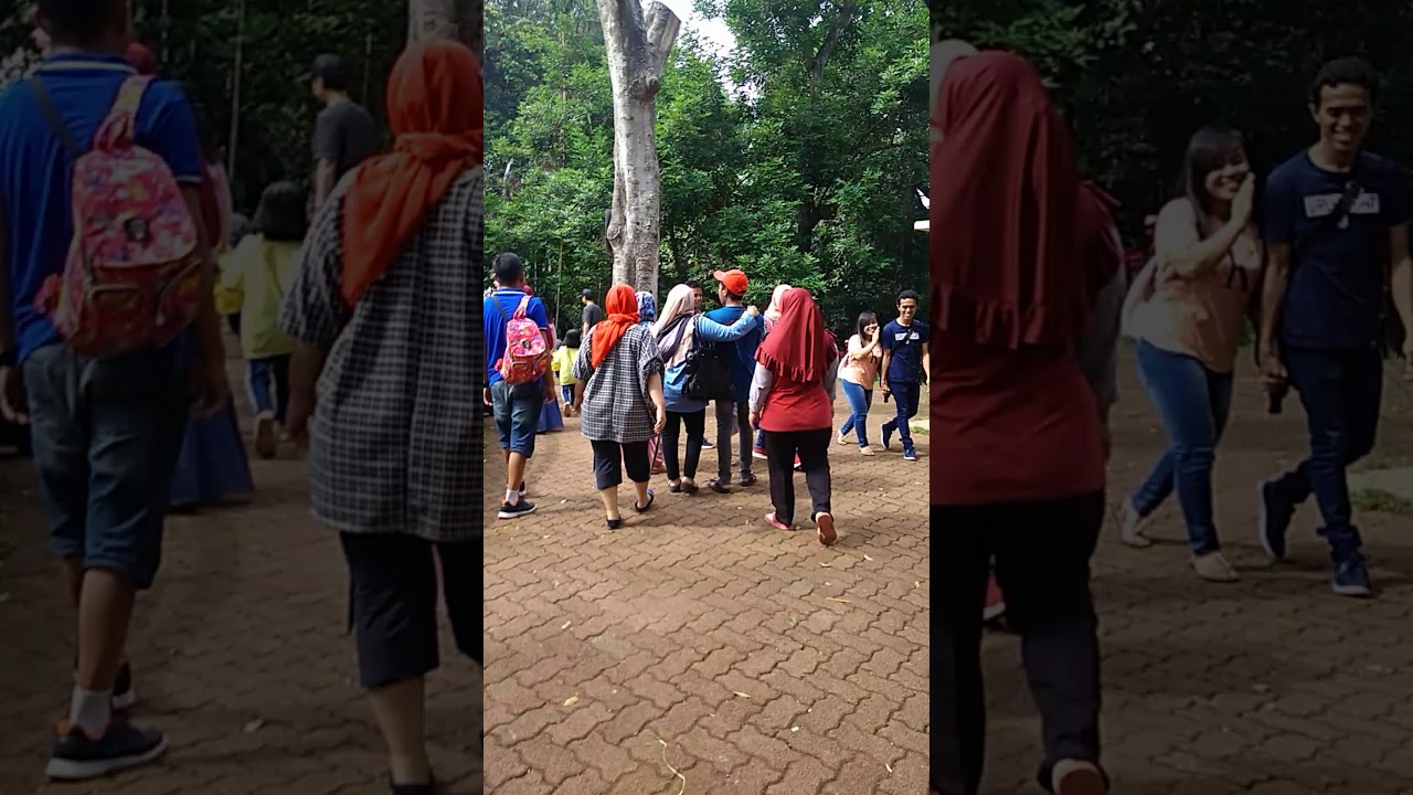 Gajah 