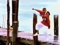 Capture de la vidéo Shaggy Ft. Rayvon  - In The Summertime  (Flipper Movie Version)