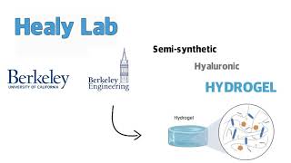 Hydrogel to Promote Tissue Regeneration for Volumetric Muscle Loss (VML)
