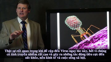 AHT CORP (CƠ CHẾ DIỆT VIRUS CỦA NANO BẠC) | CƠ CHẾ DIỆT KHUẨN CỦA NANO BẠC