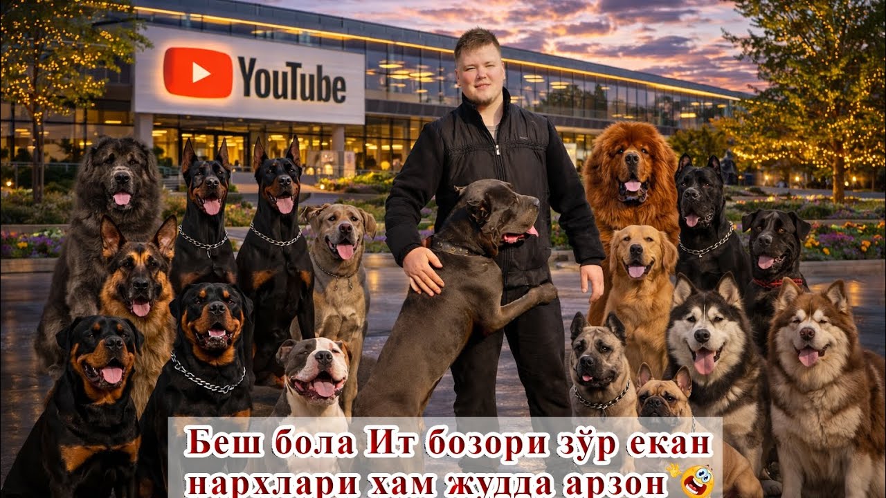 Fargʻona Besh bolla it bozori Narxlar juda xam orzon 01.03.2026