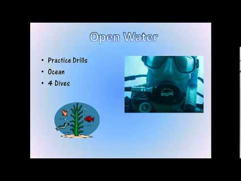 Final CSC Project