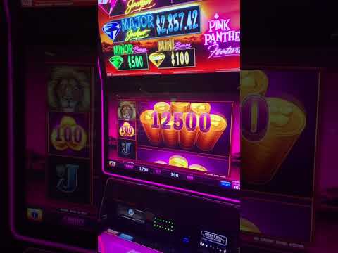 Live Dealer Casino Holdem at Bet365 Casino