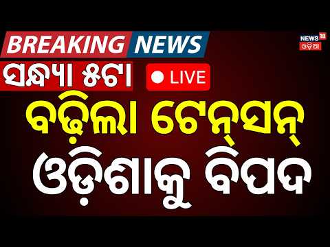 Odisha Flood News LIVE : ଦିନ ୪ଟାର ବଡ଼ ଖବର | Odisha Rain News Today | Bhadrak Flood | Balasore Flood