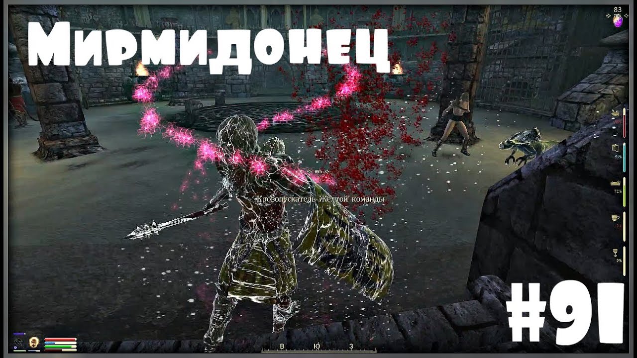 Oblivion Association #91 Мирмидонец - YouTube