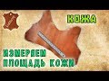 Как измерить площадь кожи? How to measure the area of the skin?