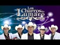 Los Charros de Lumaco - Los héroes del bosque (La Nueva Fiesta de los Charros - 2013)