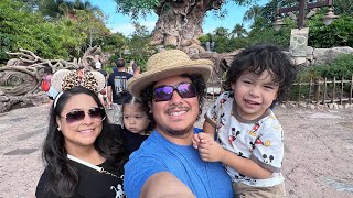 Disneys Animal Kingdom