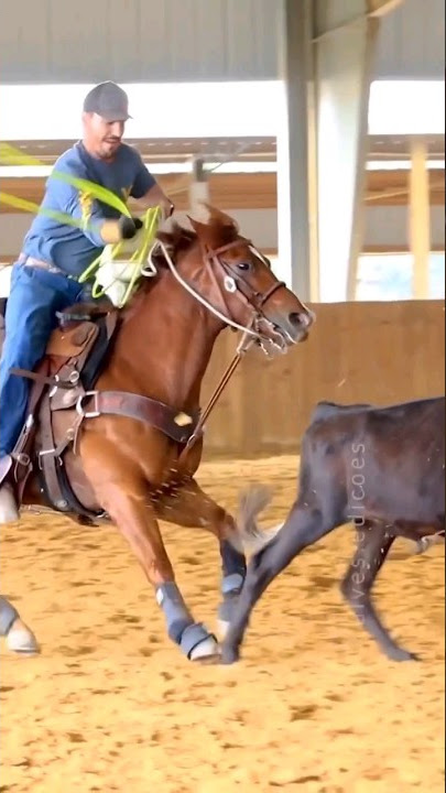 TEAM ROPING  2023 • REELS • GEOFFREY JUNIOR • LAÇO EM DUPLA DUPLA PÉ #shorts