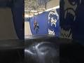 Новый трюк #bmx #nofoot