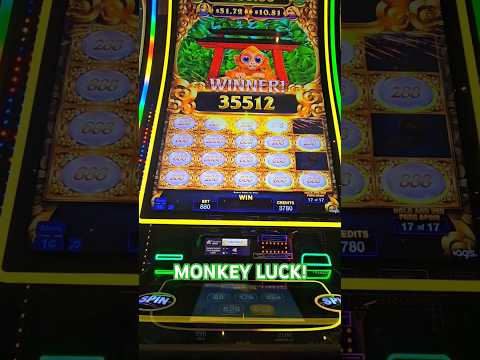 Bonifica il tuo saldo bonus WinBay Casino e gioca al casinò online in Italia