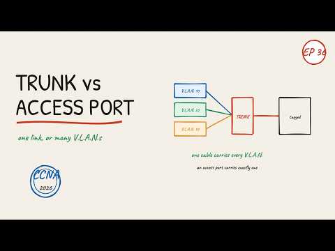 Trunk Port vs Access Port — What's the Difference? | Networking for Normies (CCNA Ep 36)