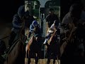 2026 Santa Anita Autumn Meet Sep 25 - Nov 1