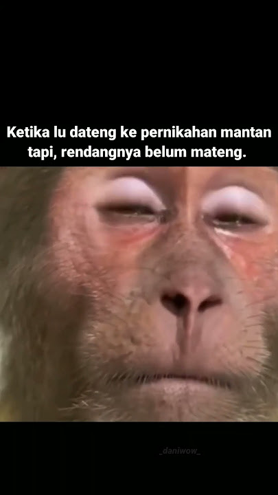 sedang digempur habis-habisan sama surat undangan😭 #fypviral #fyp #memes #shorts #shortvideo #meme