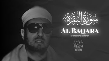 𝐌𝐔𝐇𝐀𝐌𝐌𝐀𝐃 𝐈𝐌𝐑𝐀𝐍 - 𝐀𝐋 𝐁𝐀𝐐𝐀𝐑𝐀 |      الشيخ محمد عمران – سورة البقرة