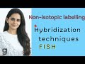 Part-IX: #FISH #Hybridization techniques  –  Non-Isotopic Labeling of Nucleic Acids
