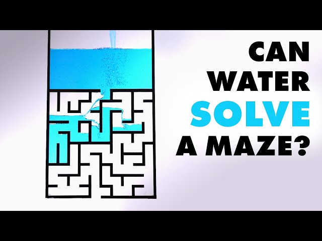 Can water solve a maze? class=
