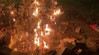 How Do Wildfires Spread
