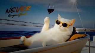 Never Beats Official Audio Aaryan Ghule, Rohan Ghule