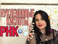 РИБОНУКЛЕИНОВАЯ КИСЛОТА|РНК|ВИДЫ РНК