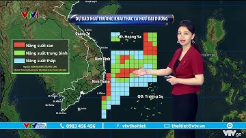 Bản tin thời tiết 9h10 - 26/7/2022: Ngư trường khai thác cá ngừ đại dương | VTVWDB
