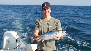 Trolling Nearshore Wrecks for Atlantic Bonito with Deep Divers – Wrightsville Beach NC