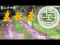 麦秋至