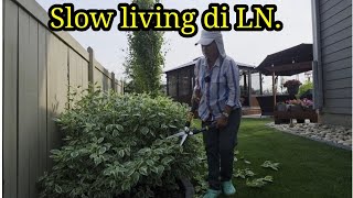 Retiring in Indonesia or Canada? Is Retirement in Canada Expensive? What If You Don't Have a Pens...