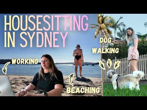 Day In The Life Of A Full-time Housesitter Living In Sydney!