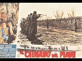Il caimano del Piave (1951) HD di Giorgio Bianchi, con Gino Cervi, Milly Vitale, Frank Latimore