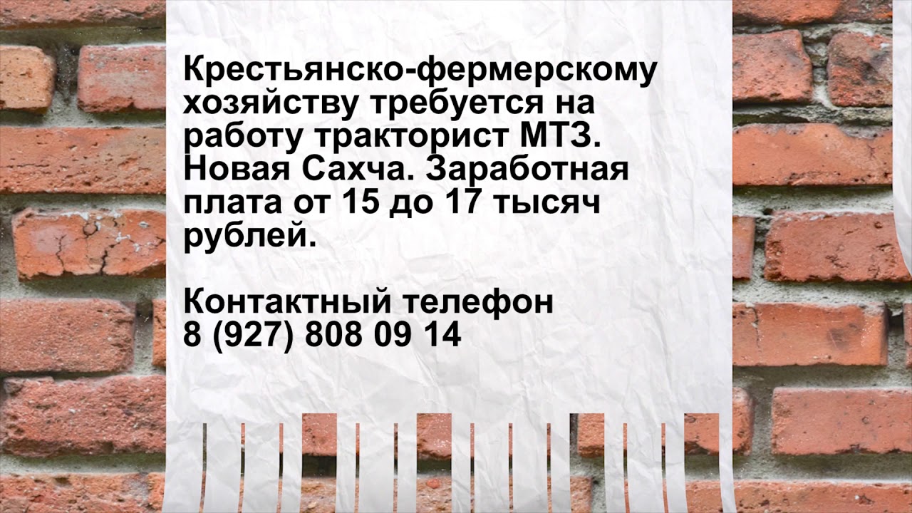 Бмв банк вакансии