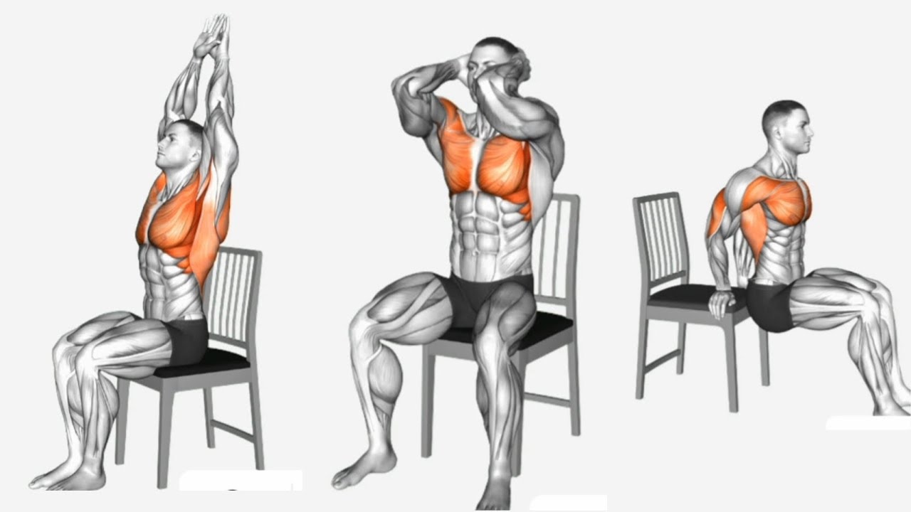 Top 8 Best Chest Exercises for a Bigger, Stronger Chest for Beginners ...