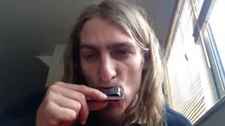 HOW TO PLAY LITTLE WALTER'S JUKE WILL WILDE HARMONICA chords