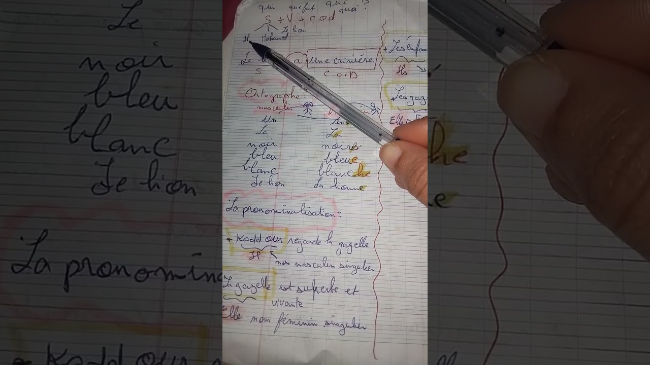 مراجعة اللغة الفرنسية للسنة الخامسة ابتدائي الفصل الاول جميع الدروس