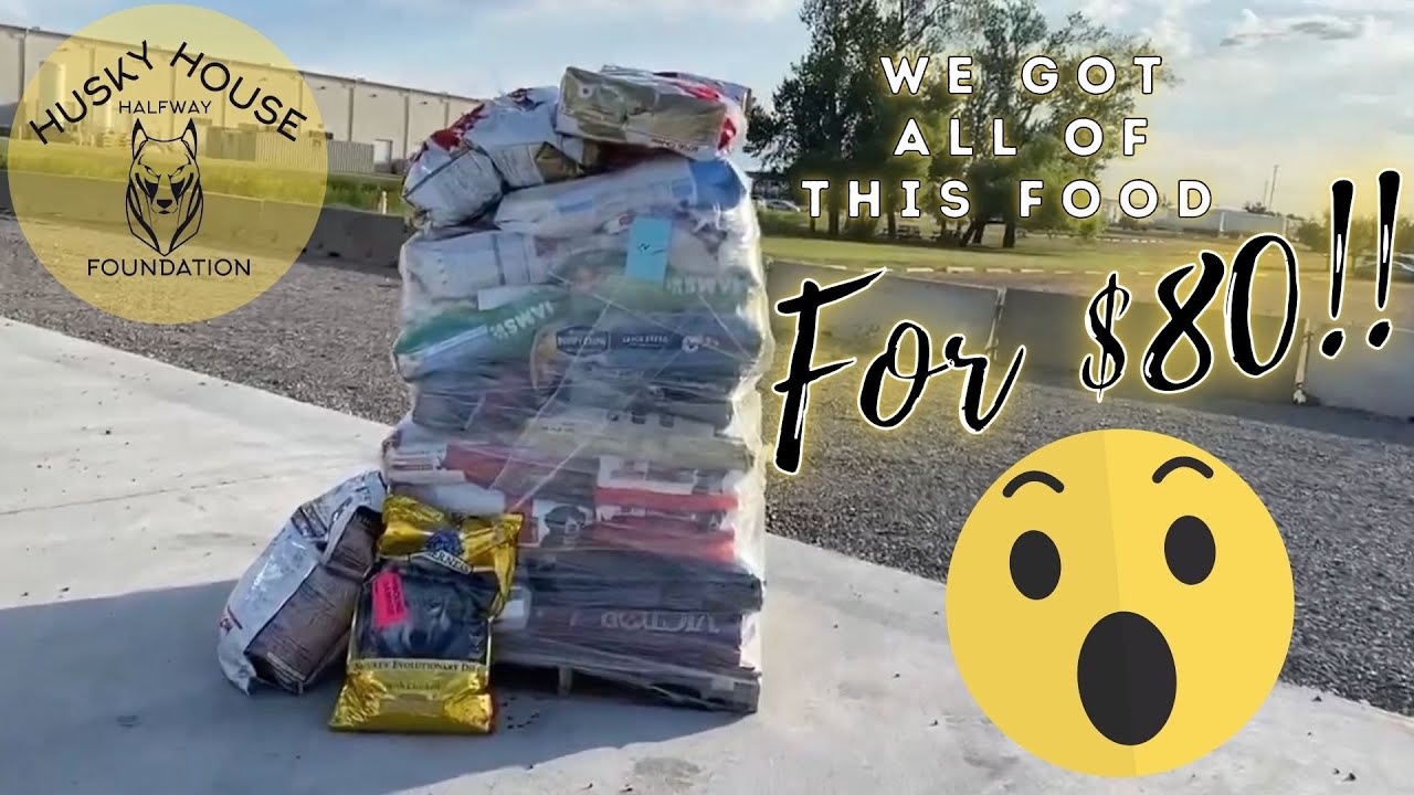 We got a HUGE pallet of food for only $80 DOLLARS?!? 😱 Thanks Rescue Bank!