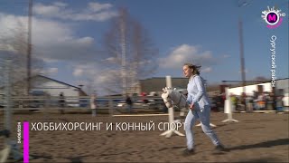 Мегаполис - Чемпионат по конному спорту - Сургутский район