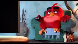 The Angry Birds Movie VIRAL VIDEO   AMC Video 2016   Animated Movie HD