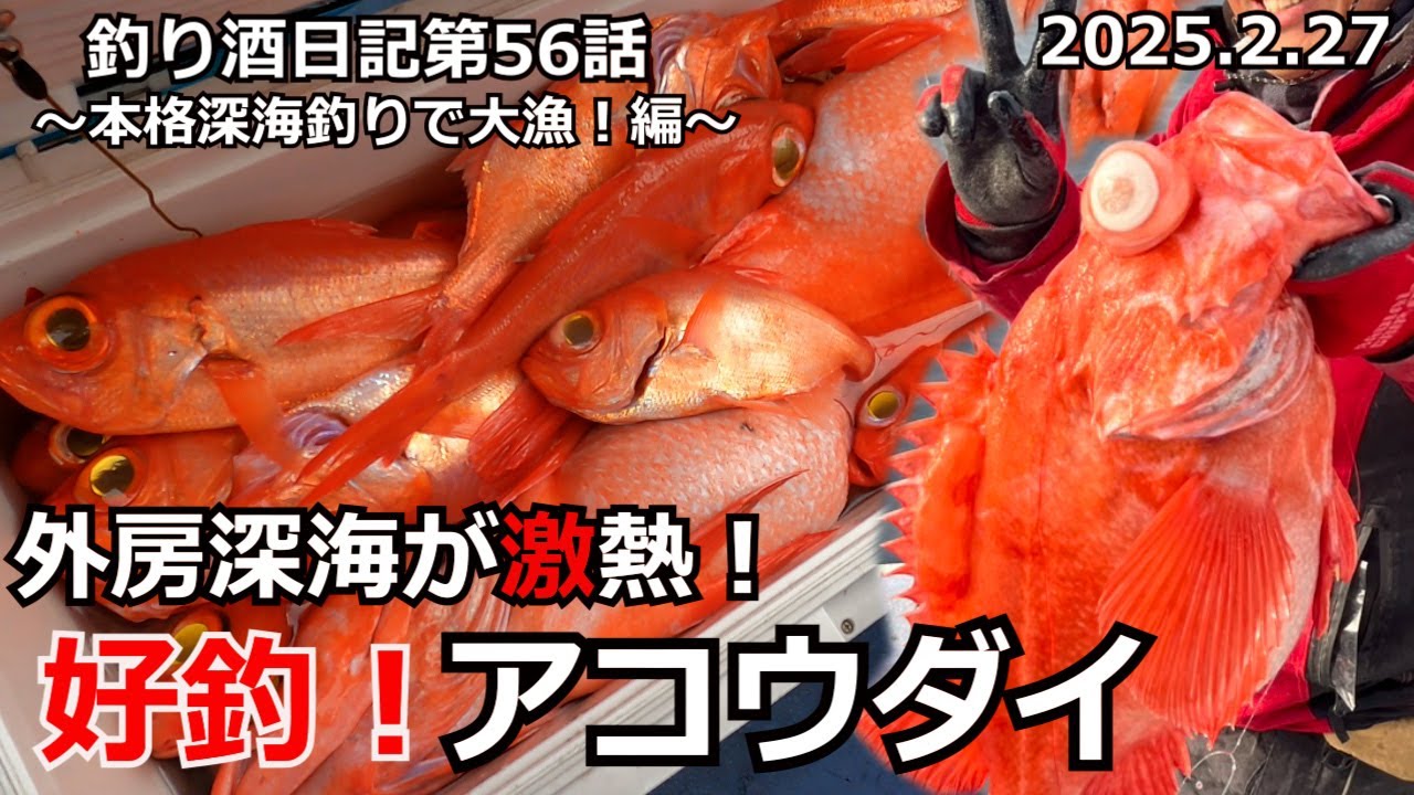 【深海釣りアコウ＆キンメ】釣り酒日記第56話：外房の大海原で爆釣！深海から浮かび上がる深紅の宝石！！