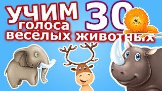 УЧИМ ГОЛОСА 30 ВЕСЕЛЫХ ЖИВОТНЫХ – Развивающее видео для малышей