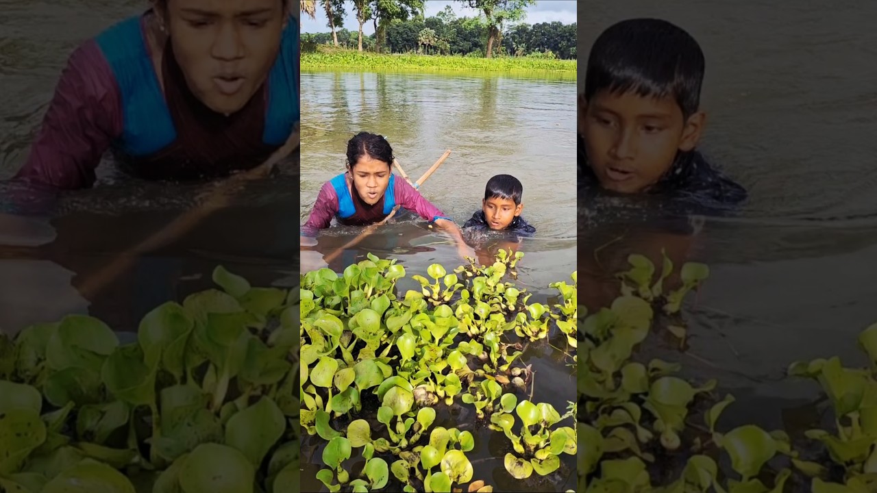 Удивительные брат и сестра ловят рыбу сетью Ucha в воде Beel 
