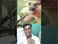 হাঁড়ি ভেবে কলসের মধ্যে মাথা ঢুকিয়ে দিয়েছে🐕🐕#funny #shorts #ytshorts #viral #video #dog #dogs