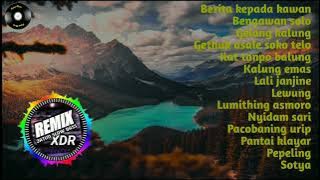 DJ lagu lagu jawa by REMIX XDR