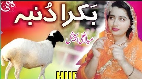 Reaction On Eid-ul-Adha Special Kalam | Ding Dong Bakra Dumba | Huda Sisters Official