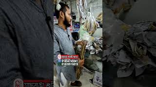 কক্সবাজার কলাতলী শুটকি মার্কেট #smbangla #coxsbazar #barmismarket #shutki #dryfish #shortfeed