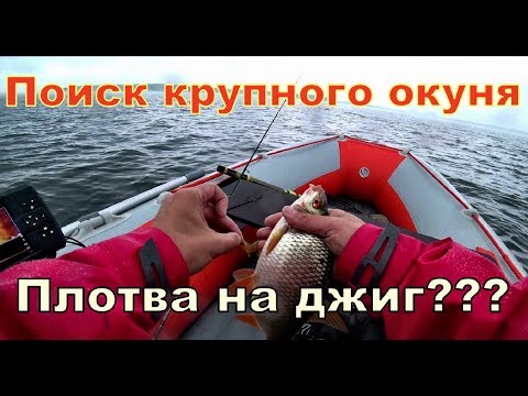 Где ты крупный окунь? Поиск приманки на крупного окуня.