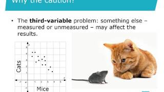 9 Quantitative data analysis