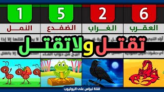 تعرف على جميع الحيوانات والحشرات التي أمر النبي ﷺ بقتلها والتي نهى النبي ﷺ عن قتلها 🐕🐍 | بإختصار 👍